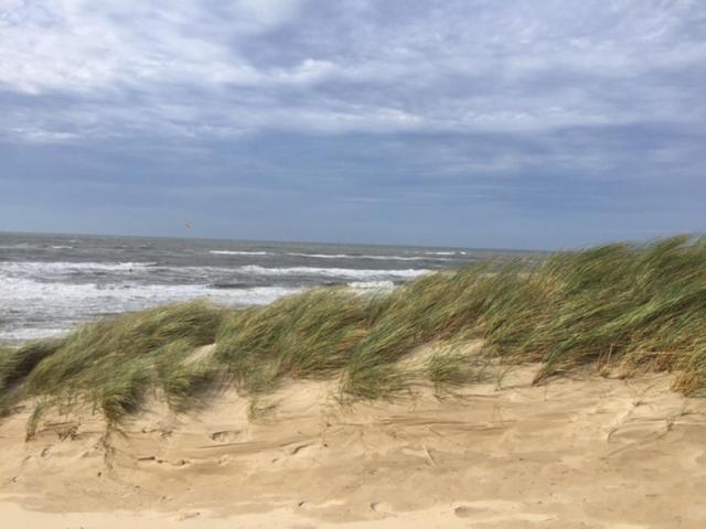 Apartamento De Nollen Egmond aan den Hoef Exterior foto